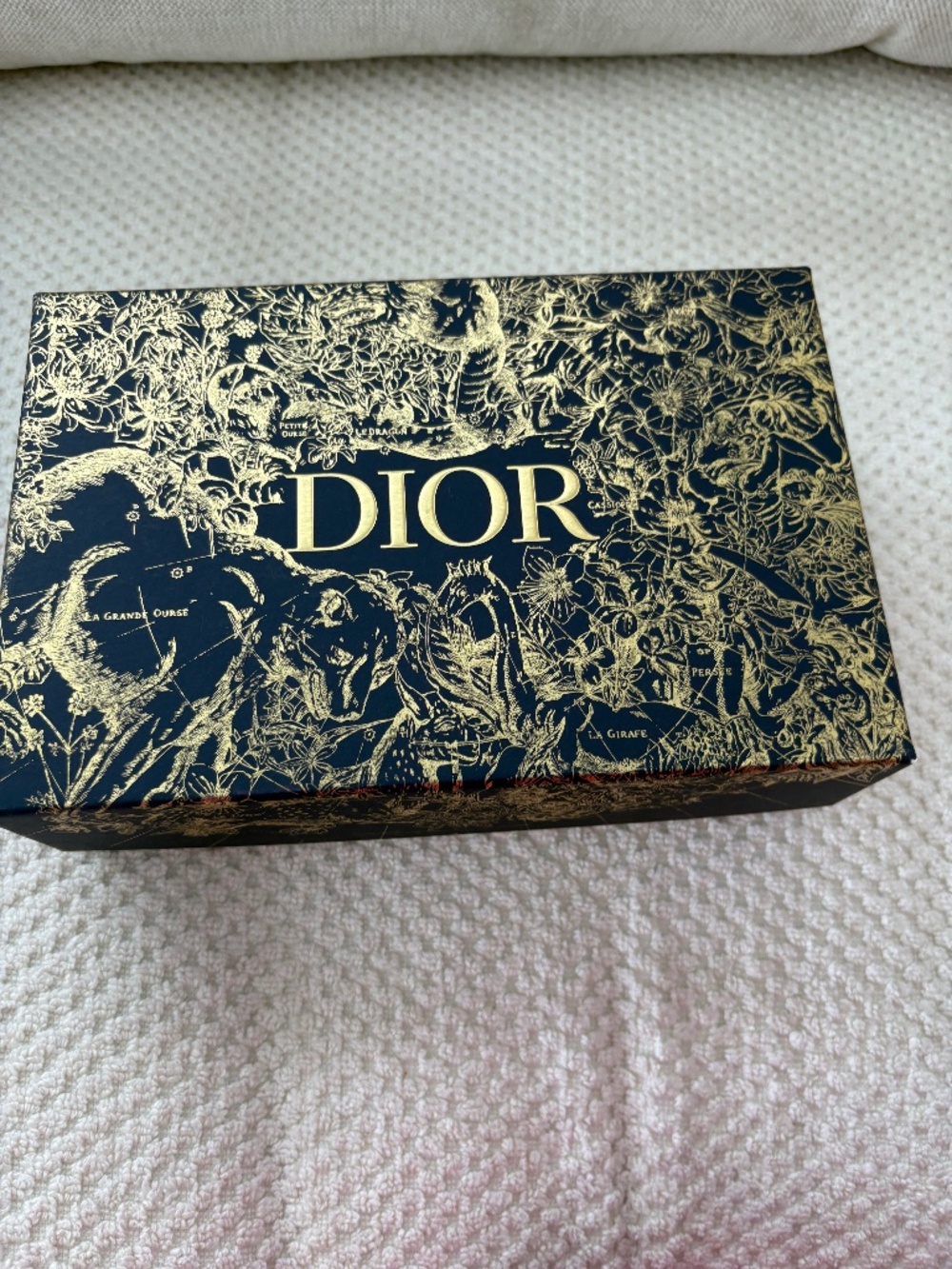 Dior Gift box with ribbon